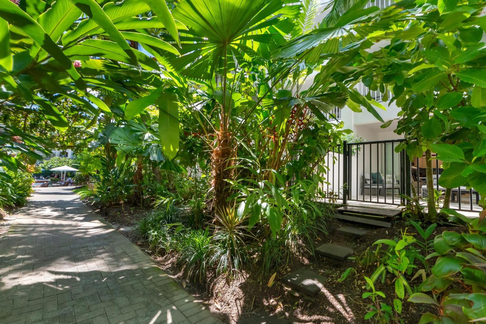 Elysium Private Apartments At Beach Club & Spa Palm Cove Eksteriør bilde