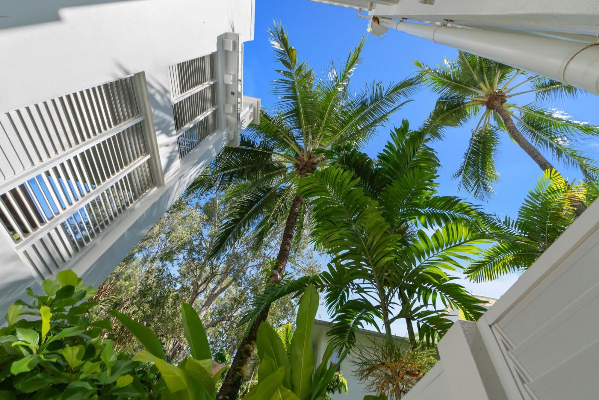 Elysium Private Apartments At Beach Club & Spa Palm Cove Eksteriør bilde